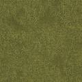Moquette Take a Walk 250